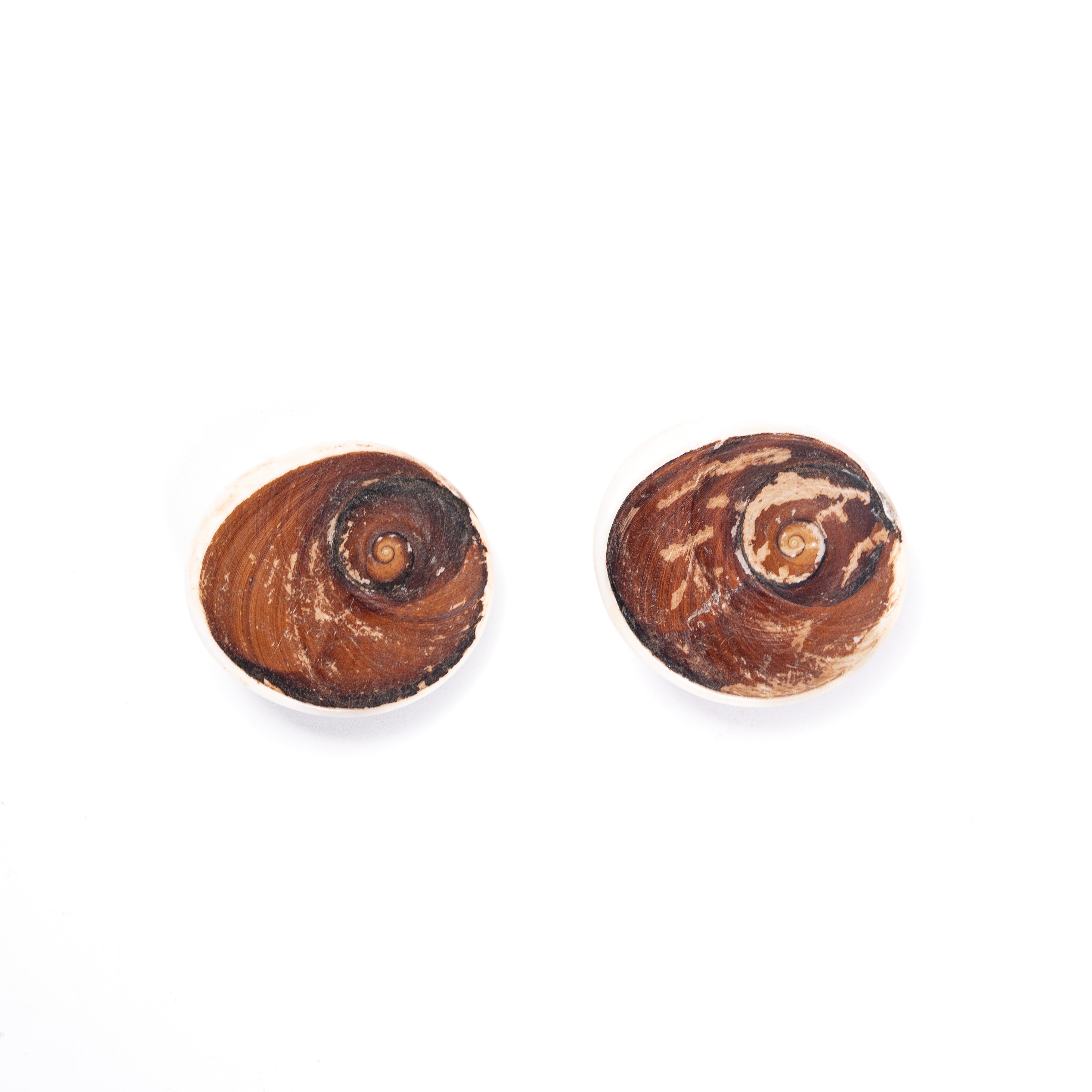 Gomti Chakra 2 Pcs | Symbol of Maa Laxmi | Invokes the Divine Grace & Blessings